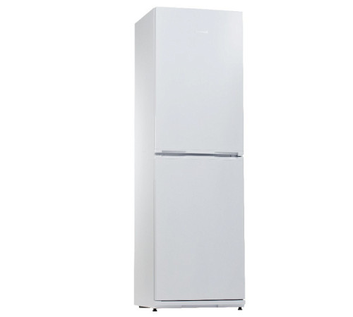 Холодильник SNAIGE RF35SM-S0002F0721