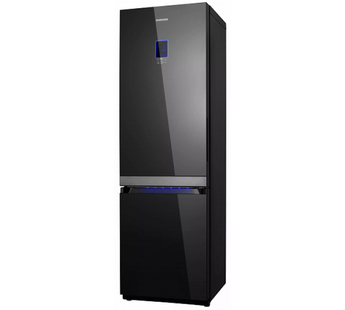 Холодильник SAMSUNG RL55VFEBG1 черный