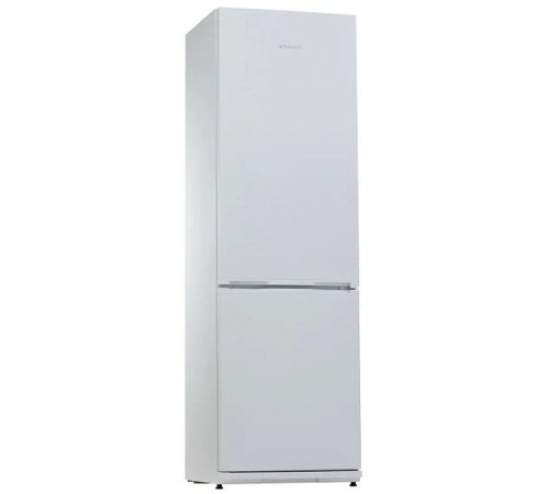 Холодильник SNAIGE RF36NG-P100260