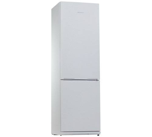 Холодильник SNAIGE RF36SM-S0002G0831