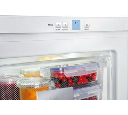 Морозильник LIEBHERR GP 1213