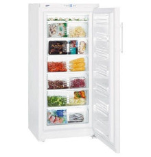 Морозильник LIEBHERR g 3013-20 001