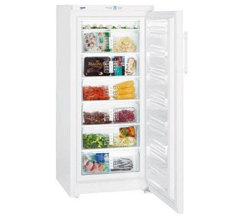 Морозильник LIEBHERR g 3013-20 001