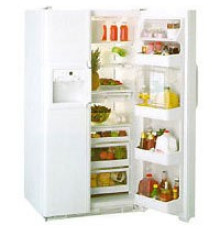 Холодильник GENERAL ELECTRIC TPG21KRWS