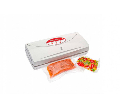 Вакуумный  упаковщик STATUS EV 500