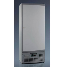 Холодильник Ariada R700 V серебристый