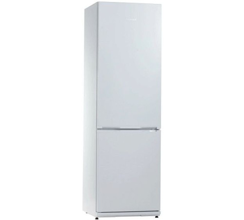 Холодильник SNAIGE RF39SM-P1002F