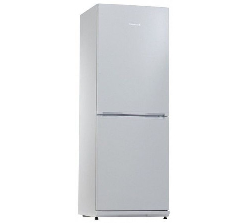 Холодильник SNAIGE RF39SM-S0002G0
