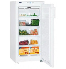 Морозильник LIEBHERR gn 1923-22 001