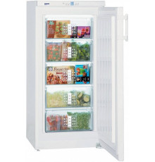 Морозильник LIEBHERR gp 2033-20 001