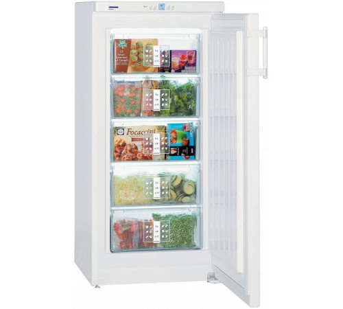 Морозильник LIEBHERR gp 2033-20 001