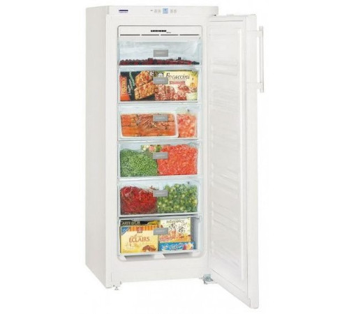 Морозильник LIEBHERR gn 2323-22 001