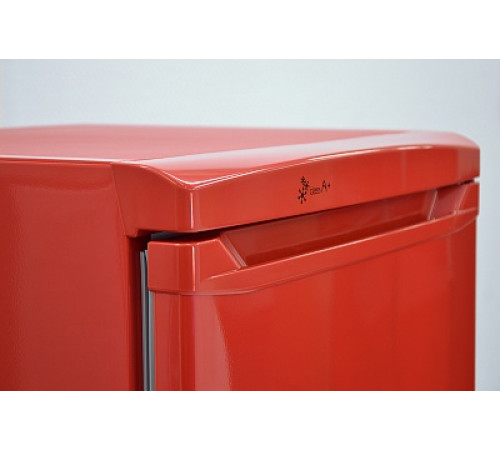 Морозильная камера NORD DF 165 RAP