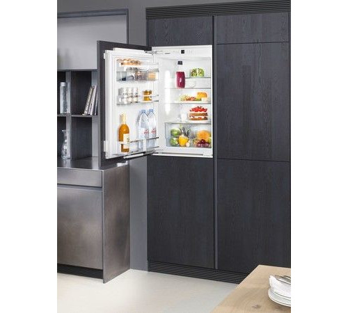 Холодильник LIEBHERR IKP 1660