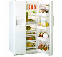 Холодильник GENERAL ELECTRIC TPG24BFBB