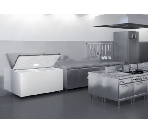 Морозильный ларь LIEBHERR EFL 4656