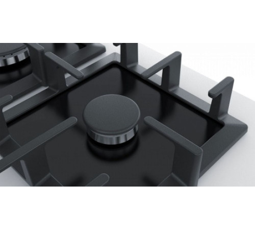 Поверхность BOSCH PPP6A2B90R