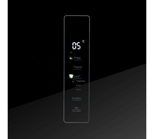 Холодильник CENTEK CT-1744 Black