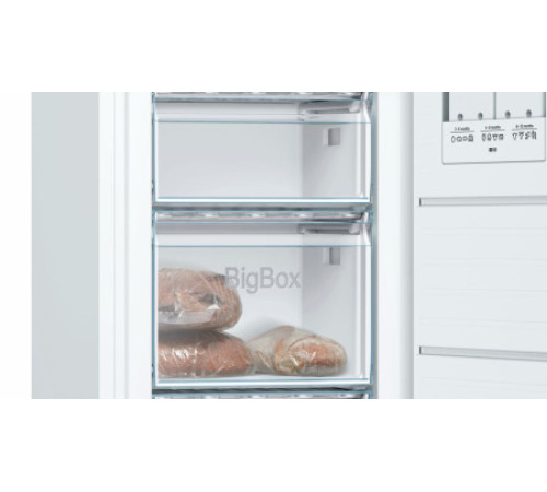 Морозильная камера BOSCH GSV29VW20R