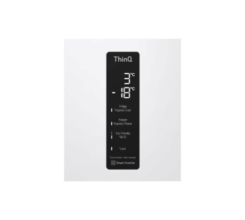 Холодильник LG GB-B72SWDMN