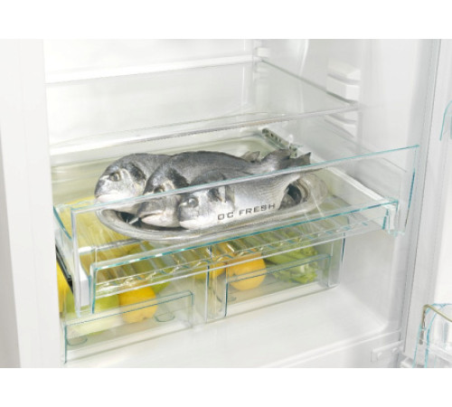 Холодильник SNAIGE RF58NG-P7JJNFSD91