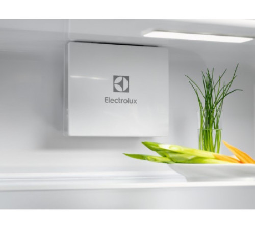 Холодильник ELECTROLUX LND5FE18S