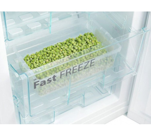 Холодильник SNAIGE RF53SG-P5002F0D91