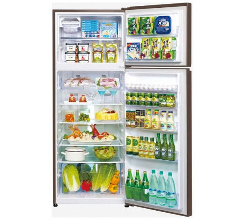 Винный шкаф DUNAVOX  thermo dx-6.16sc