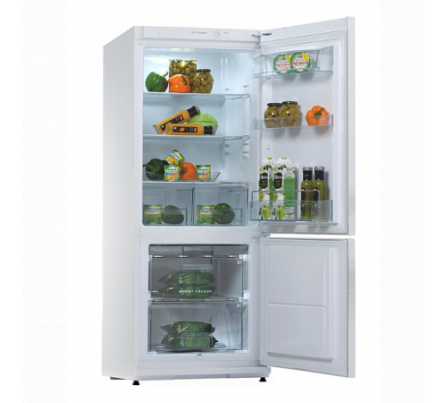 Холодильник SNAIGE RF27SM-P100223