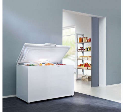 Морозильник LIEBHERR gtp 2756-22 001