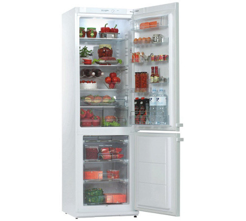 Холодильник SNAIGE RF36SM-P10027