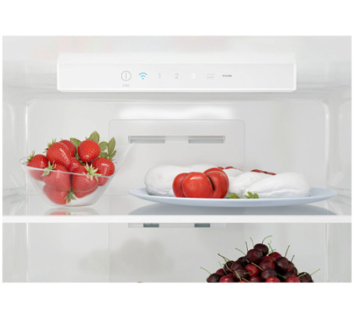 Холодильник CANDY CCRN 6200C