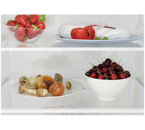 Холодильник CANDY CCRN 6200C