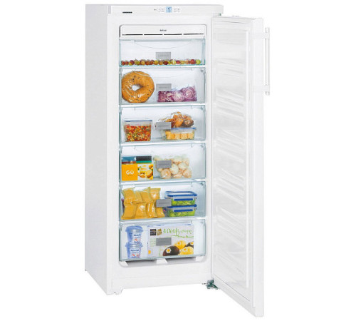 Морозильная камера LIEBHERR GNP 2313