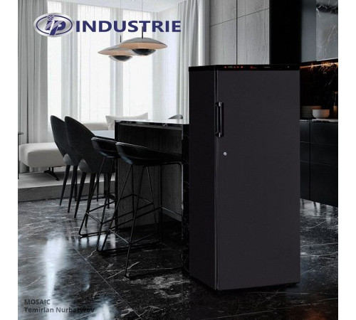 Шкаф для хранения мяса IP INDUSTRIE SAL 300 CF