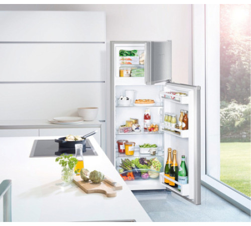 Холодильник LIEBHERR CTPel 231