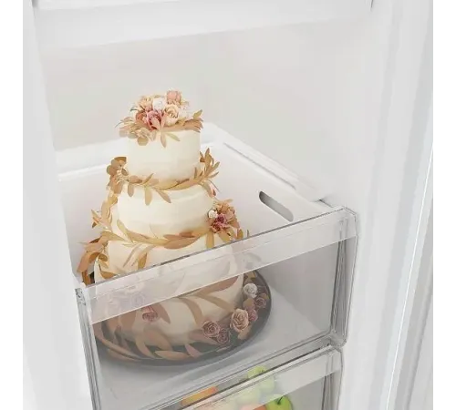 Морозильная камера CANDY CUF163WA