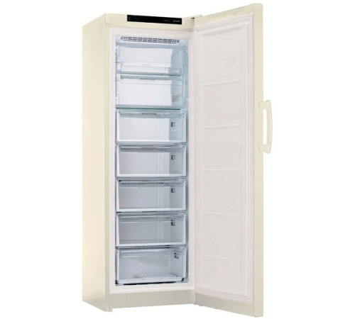 Морозильная камера INDESIT DFZ 5175 E
