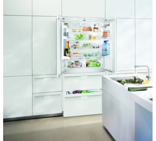 Холодильник LIEBHERR ECBN 6256