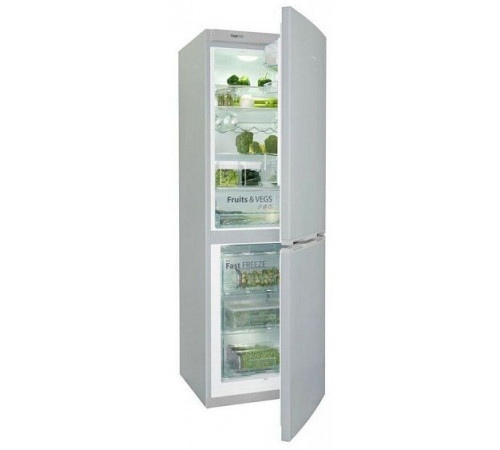 Холодильник SNAIGE RF39SM-S0002G0