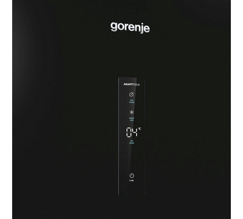 Холодильник GORENJE R619EABK6 черный