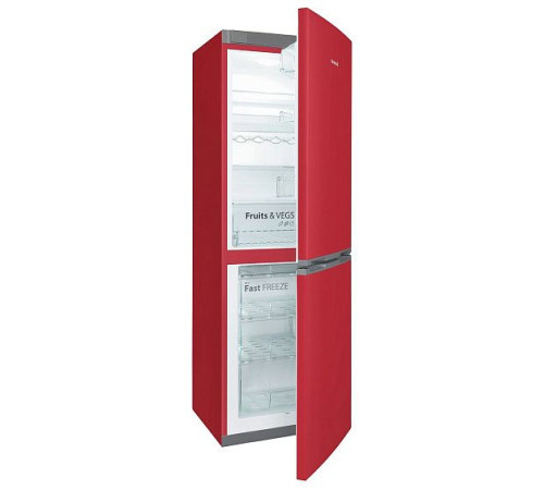 Холодильник SNAIGE RF53SM-S5RB2F