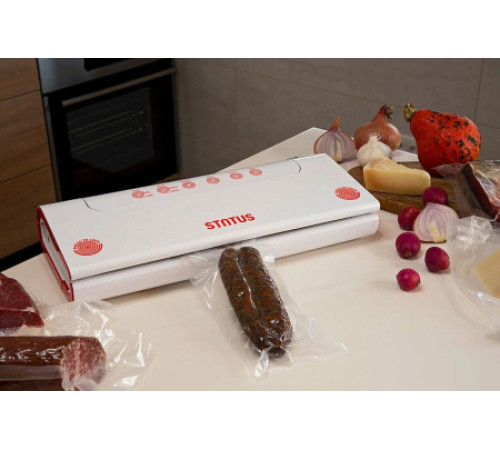 Вакуумный упаковщик STATUS HV 100