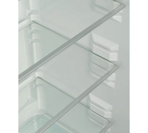 Холодильник SNAIGE RF57SG-P5002F0D91