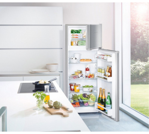 Холодильник LIEBHERR CTele 2531