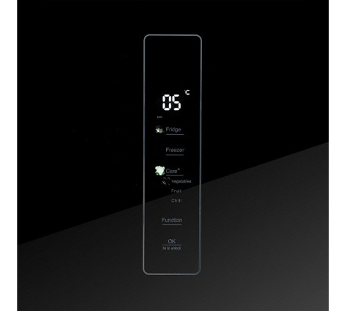 Холодильник CENTEK CT-1745 Black