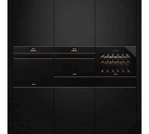 Компактный духовой шкаф Smeg SF4604VCNR1