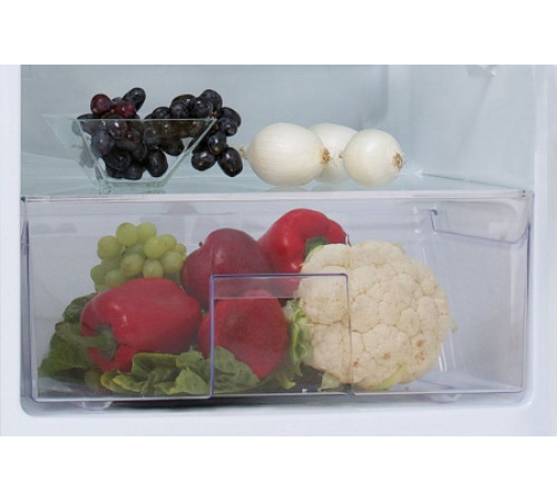 Холодильник Snaige C29SM-T100211