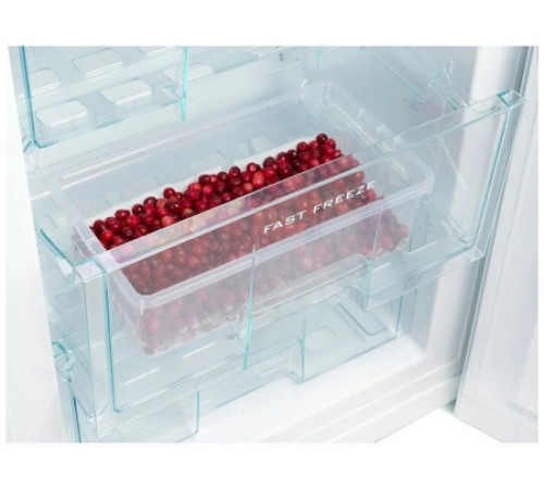 Холодильник SNAIGE RF36NG-P100260