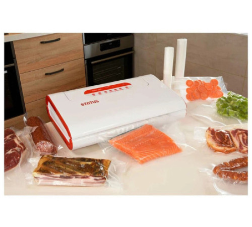 Вакуумный упаковщик STATUS Solid 300